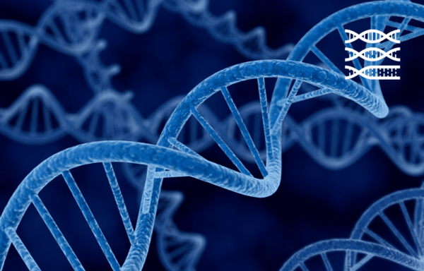 June 16, 2017  Lazar et. al “Use of dual biopsies and differential gene expression in tumor and normal matched tissues addresses the challenges of precision oncology and reveals new insights in the biology of Non- Small Cell Lung Carcinomas (NSCLC)” (under review)